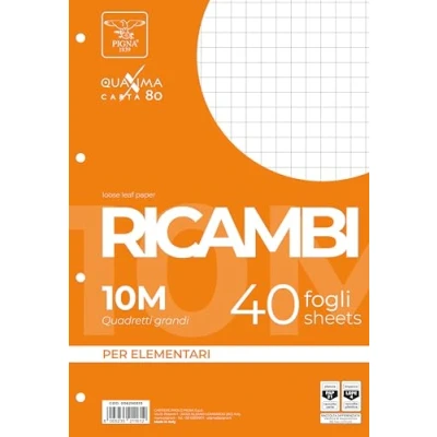 Afbeelding van Pigna 006290310 vervanging, niet versterkt, liniatuur 10, geruit 1 cm voor 1e klasse, papier 80 g/m², verpakking van 40 vellen