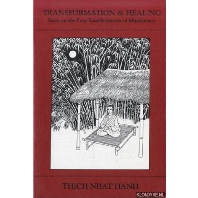 Afbeelding van Transformation and Healing