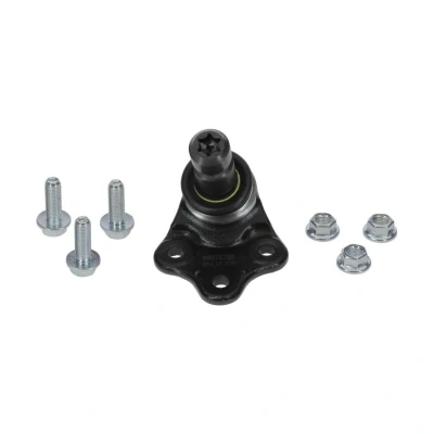 Afbeelding van Moog Fuseekogel LR BJ 15965