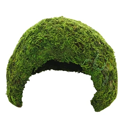 Afbeelding van Hobby 34600 Jungle Cave 1, 74 g