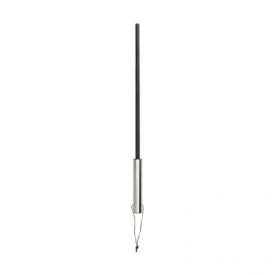 Afbeelding van Cane with Stainless Steel Handle