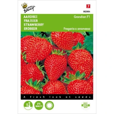Afbeelding van Aardbeien Grandian F1 Buzzy