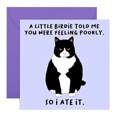 Afbeelding van Central 23 Grappige Get Well Soon kaart voor haar &#039;A Little Birdie.Feeling Poorly&#039; Cheeky hem Kattenontwerp Wordt geleverd met leuke stickers