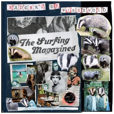 Afbeelding van Surfing Magazines Badgers of Wymeswold (2 LPs)