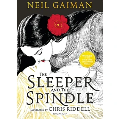 Afbeelding van the sleeper and spindle: Neil Gaiman. Illustrated by Chris Riddell