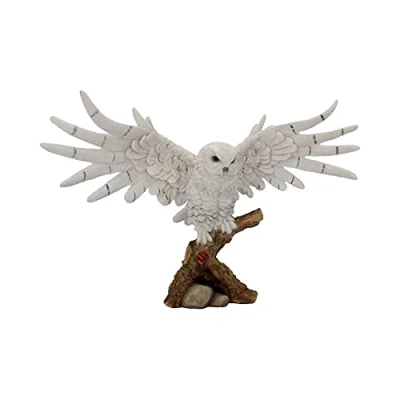 Afbeelding van Nemesis Now Sneeuwrust Beeldje 30cm Wit