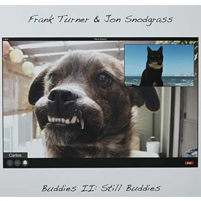 Afbeelding van Frank Turner &amp; Jon Snodg Buddies Ii: Still