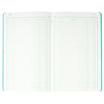 Afbeelding van EXACOMPTA Notitieboek &quot;Recettes et Dèpenes&quot;, 32 x 19,5 VE = 1