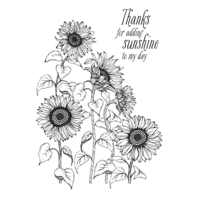 Afbeelding van Spellbinders Sunflower Bouquet Press Plate &amp; Die Set (BP 095)