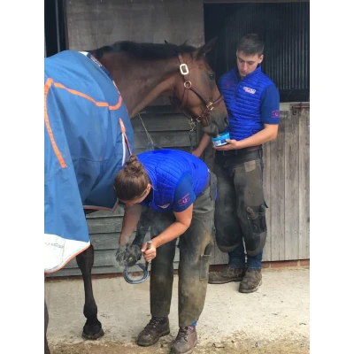 Afbeelding van Horslyx Pro digest
