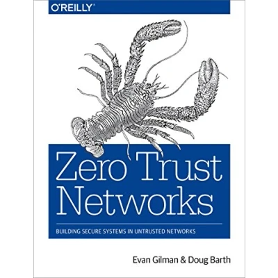 Afbeelding van Zero Trust Networks: Building Secure Systems in Untrusted Networks