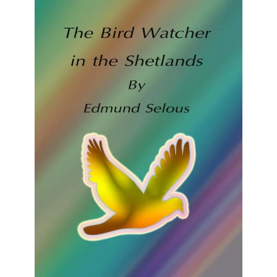 Afbeelding van The Bird Watcher In Shetlands