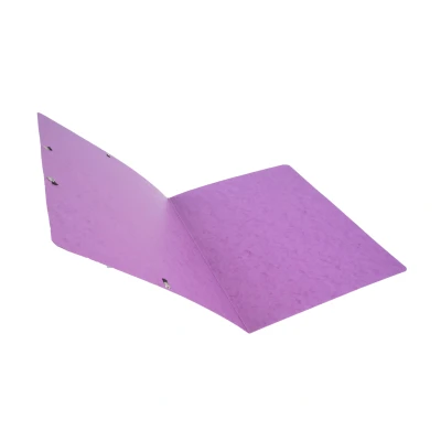 Afbeelding van EXACOMPTA Elastomap Nature Future zonder kleppen A4, 400 g/m², violet (verpakking 25 stuks)