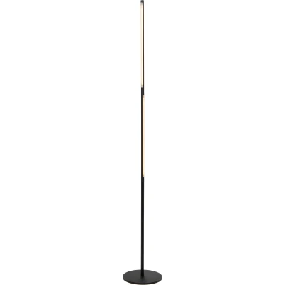 Afbeelding van Lucide FINAN Vloerlamp LED Dimb. 1x32W 2700K 3 StepDim Zwart