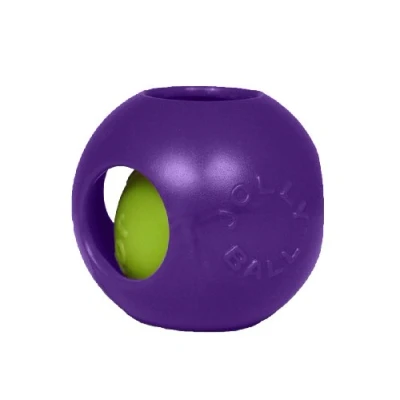 Afbeelding van Jolly Pets Teaser Ball Hondenspeelgoed, 20 cm, paars