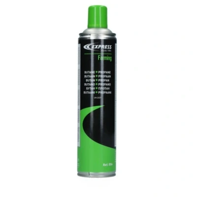 Afbeelding van Express Gaspatroon, 600 ml,