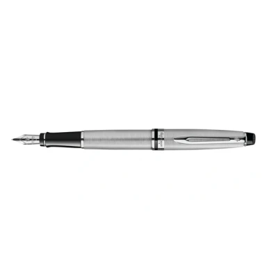 Afbeelding van Vulpen Waterman Expert stainless steel CT medium