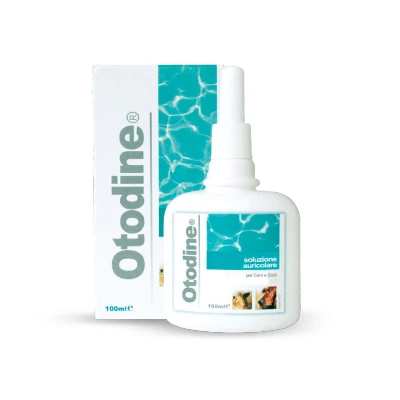 Afbeelding van Otodine Oorreiniger 100 ml