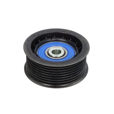 Afbeelding van Dayco Geleiderol (poly) V riem APV1119