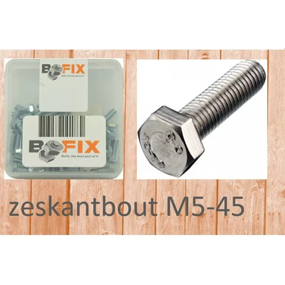 Afbeelding van Bofix Bout M5x45 per 25