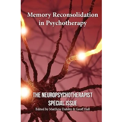 Afbeelding van Memory Reconsolidation in Psychotherapy: The Neuropsychotherapist Special Issue: 1