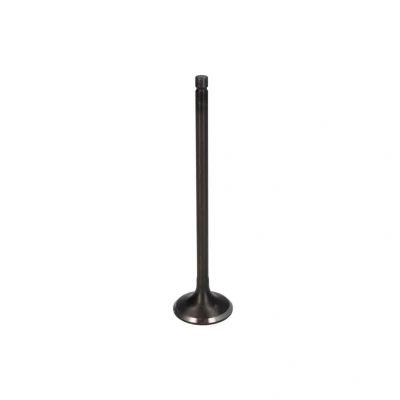 Afbeelding van Inlaatklep FRECCIA R4900/SNT