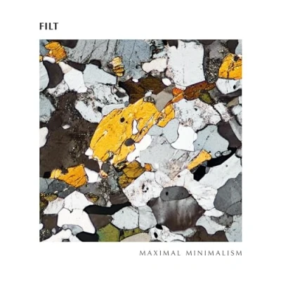 Afbeelding van Filt Maximal minimalism (LP)