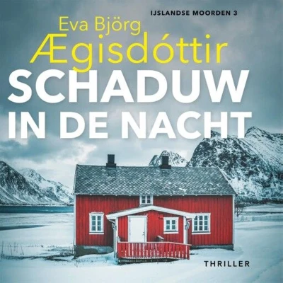 Afbeelding van Schaduw in de nacht