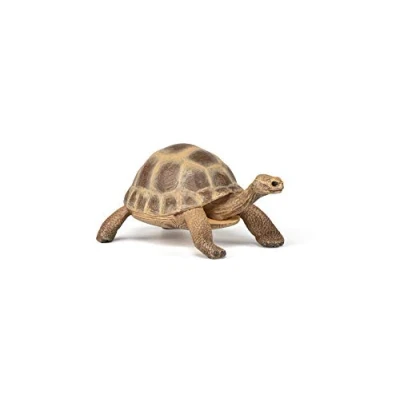 Afbeelding van Papo Griekse Landschilpad 50264 Actiefiguur &amp; verzamelitem