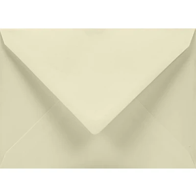 Afbeelding van Netuno 50 enveloppen ivoorkleurig C5 natte lijm met puntige klep 162 x 229 mm 120 g Aster Smooth Ivoor zonder venster voor wenskaarten