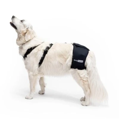 Afbeelding van Ortocanis Heupsteun voor honden met heupdysplasie of artrose (maat Large)