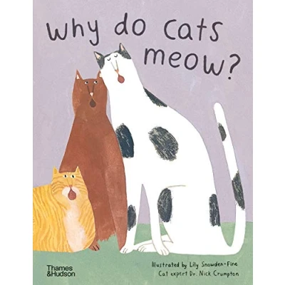 Afbeelding van Why do cats meow?
