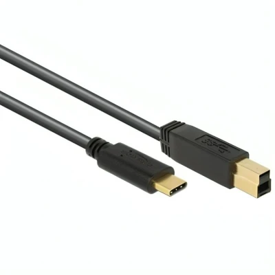 Afbeelding van 1 m USB C naar B kabel