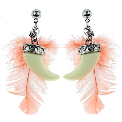 Afbeelding van Behave Oorbellen zilver kleur met veer en tand
