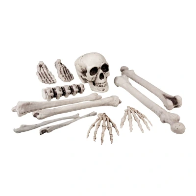 Afbeelding van Boland 12 stuks Doodshoofd en beenderen (25 cm) Horror