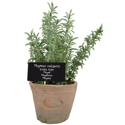 Afbeelding van Esschert Design Kunstplant/kruiden tijm in oude terracotta pot 21 cm kruiden Kunstplanten