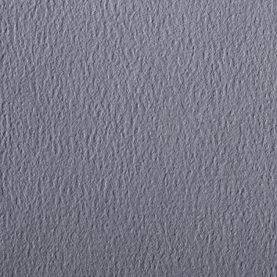 Afbeelding van Clairefontaine 90868C Pack (met 5 vellen tekenpapier etivalkleur, DIN A4, 21 x 29,7 cm, 160 g, korrels, ideaal voor droogtechniek en inlijsten) donkergrijs