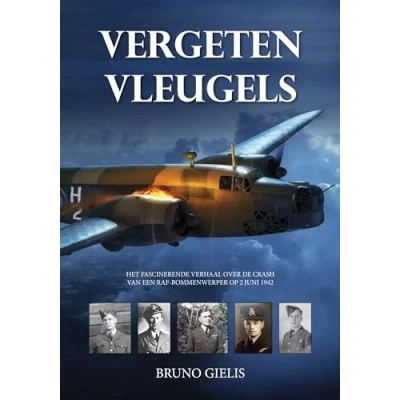 Afbeelding van Vergeten vleugels