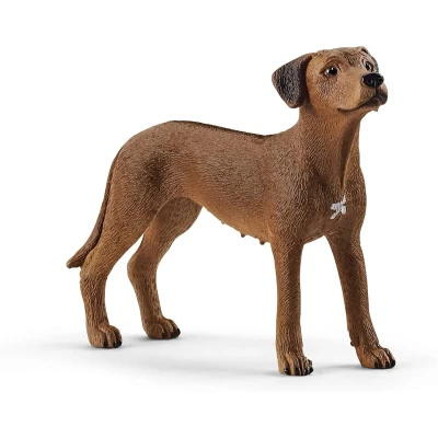 Afbeelding van Schleich farm world rhodesian ridgeback 6,5 cm