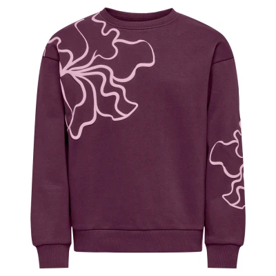 Afbeelding van ONLY KOGODESSA LIFE L/S O NECK BOX UB CP SWT Meisjes Trui Mauve Wine Blurry Flower Roseate Spoonbill