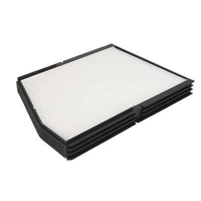 Afbeelding van Jc Premium Interieurfilter B40002PR