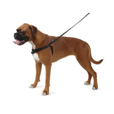 Afbeelding van The Happy At Heel Harness, 44 54cm (S)