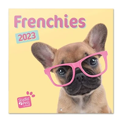 Afbeelding van Grupo Erik CP23061 Kalender 2023 Studio Pets French Bulldog wandkalender 12 maanden Broschürenkalender 30x30 cm Fscgecertificeerde +Bonus 4