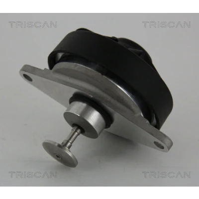Afbeelding van EGR klep TRISCAN 8813 24202