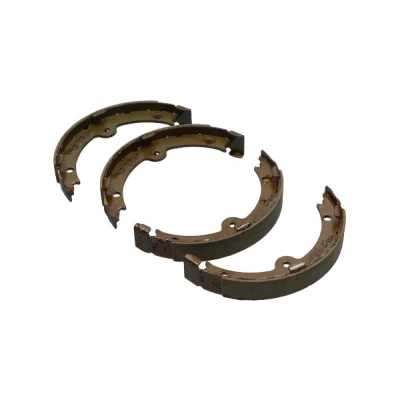 Afbeelding van Kavo Parts Remschoen set KBS 9950