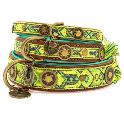 Afbeelding van Dwam Halsband Boho Diego Groen Hondenhalsband 29 33x2 cm