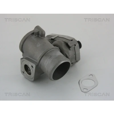 Afbeelding van EGR klep TRISCAN 8813 16101