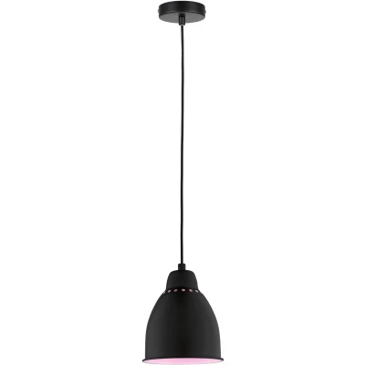 Afbeelding van PAULMANN 79763 Hanglamp E27 Zwart