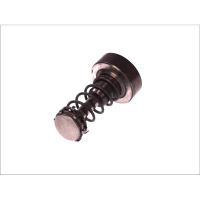 Afbeelding van Zuiger, Gemeenschappelijk Rail Pumpe BOSCH F 01M 101 355