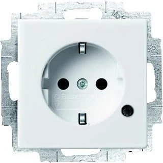 Afbeelding van Abb busch jaeger axcent carat future thermoplast inbouw 1 voudige wcd met randaarde centraalplaat steekklem ral9016 2cka002013a5286